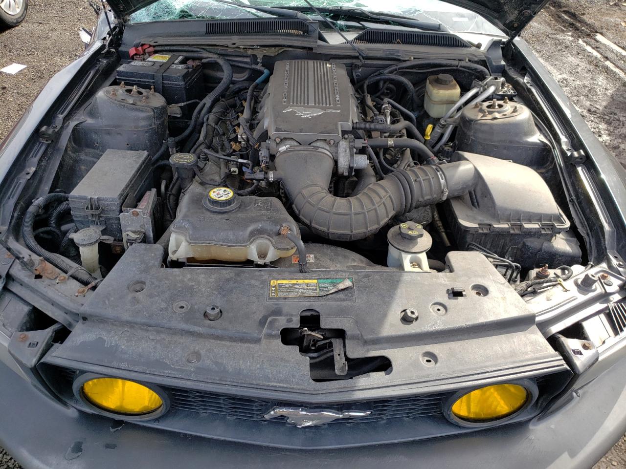 2008 Ford Mustang Gt VIN: 1ZVHT82H085100848 Lot: 50249665