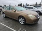 2008 Lexus Es 350 للبيع في Rancho Cucamonga، CA - Minor Dent/Scratches