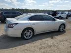 2013 Nissan Maxima S for Sale in Harleyville, SC - Side