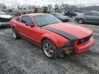 2005 Ford Mustang  for Sale in Spartanburg, SC - Front End