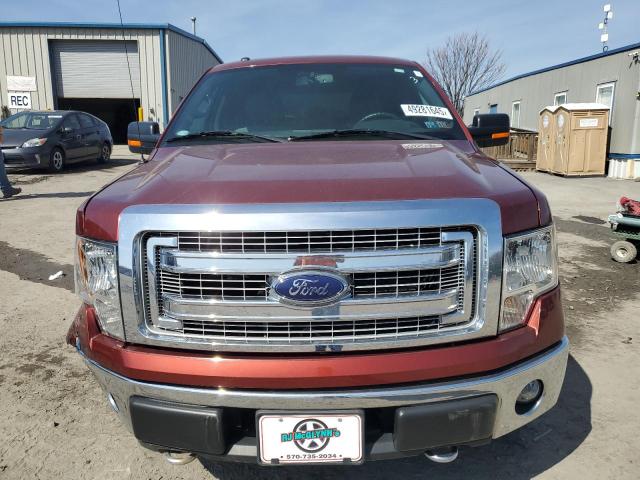  FORD F-150 2014 Бургунді