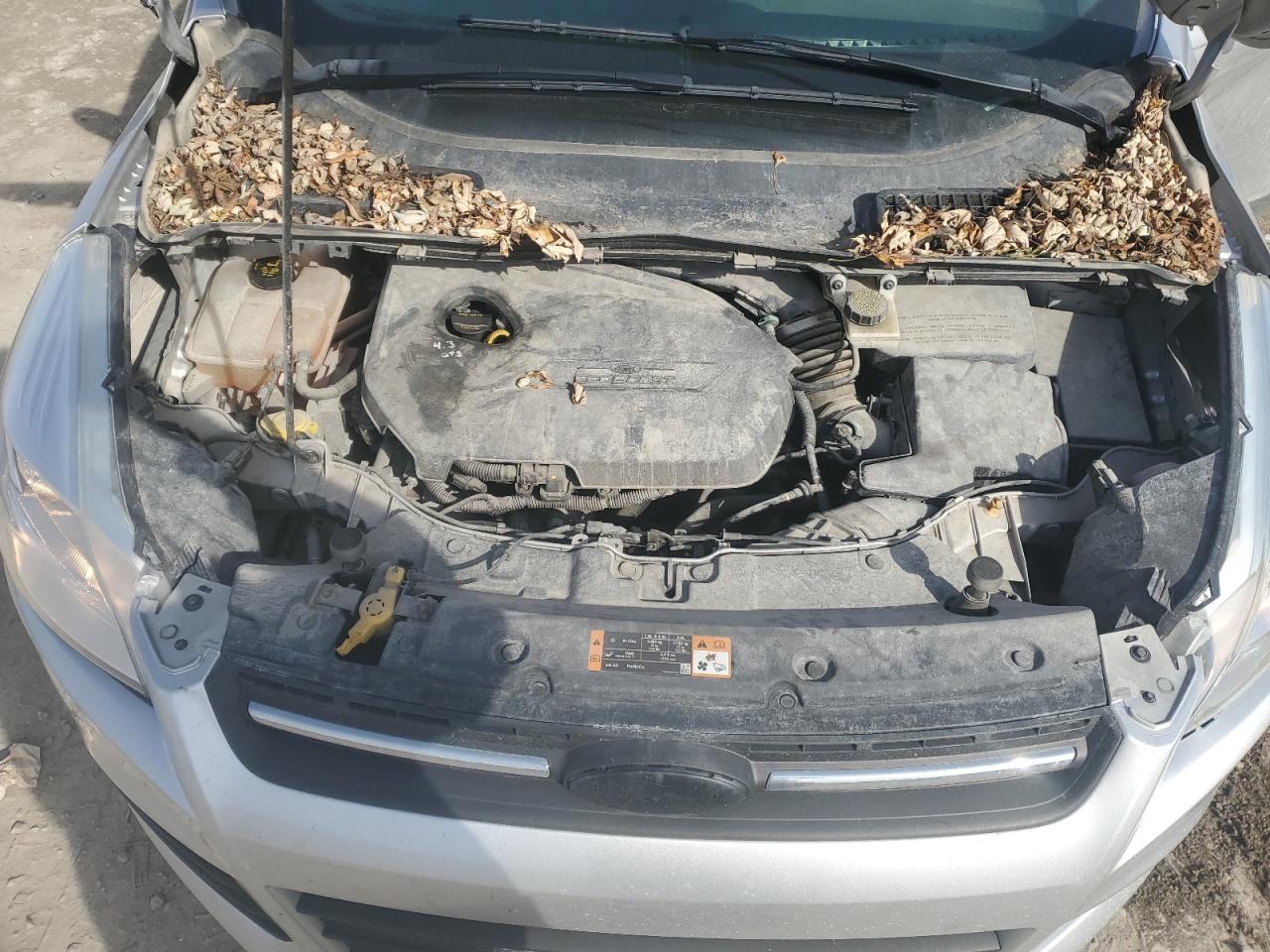 2014 Ford Escape - Image 12
