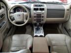 2008 Ford Escape Xlt en Venta en Ham Lake, MN - Front End