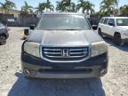 2015 Honda Pilot Exl للبيع في Opa Locka، FL - Minor Dent/Scratches