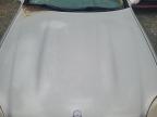 2001 Mercedes-Benz Slk 320 for Sale in Elmsdale, NS - Burn - Engine