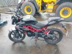 2024 BENELLI BN 125 E5 for sale at Copart CHESTER