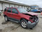 2006 Ford Escape Xlt იყიდება Louisville-ში, KY - Front End