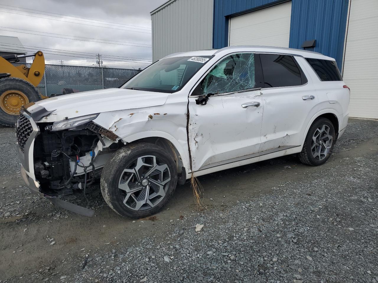 2022 Hyundai Palisade Limited de vânzare în Elmsdale, NS - Side