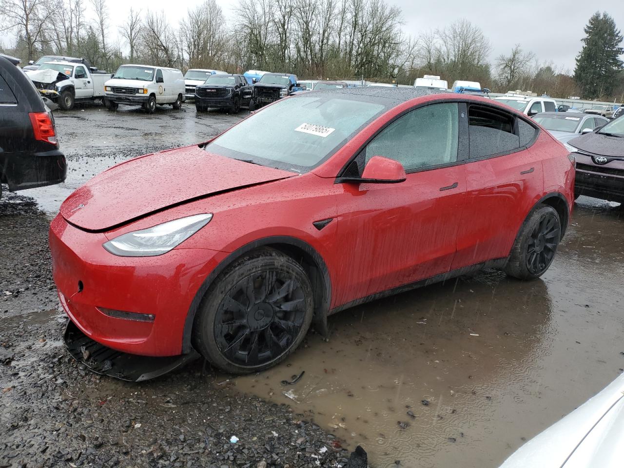2022 Tesla Model Y на продаже в Portland, OR - Front End