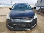 2015 Ford Escape Titanium за продажба в Bismarck, ND - Hail