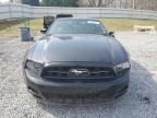 2013 Ford Mustang  zu verkaufen in Gastonia, NC - All Over