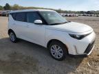 2025 Kia Soul Lx for Sale in Conway, AR - Side
