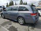 2014 Honda Odyssey Exl for Sale in Rancho Cucamonga, CA - All Over