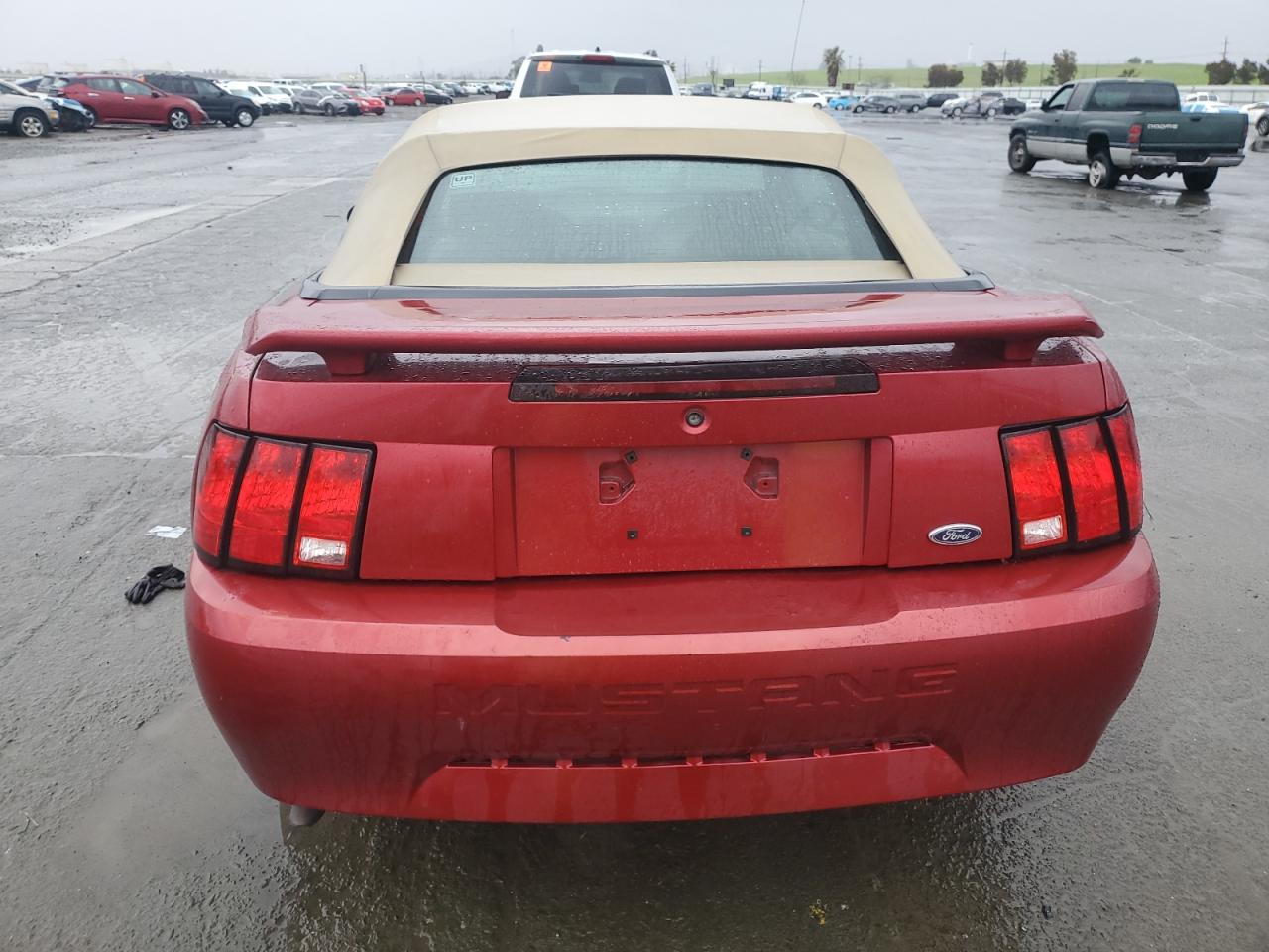 2004 Ford Mustang - Image 6