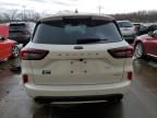 2024 Ford Escape St Line for Sale in Louisville, KY - Front End