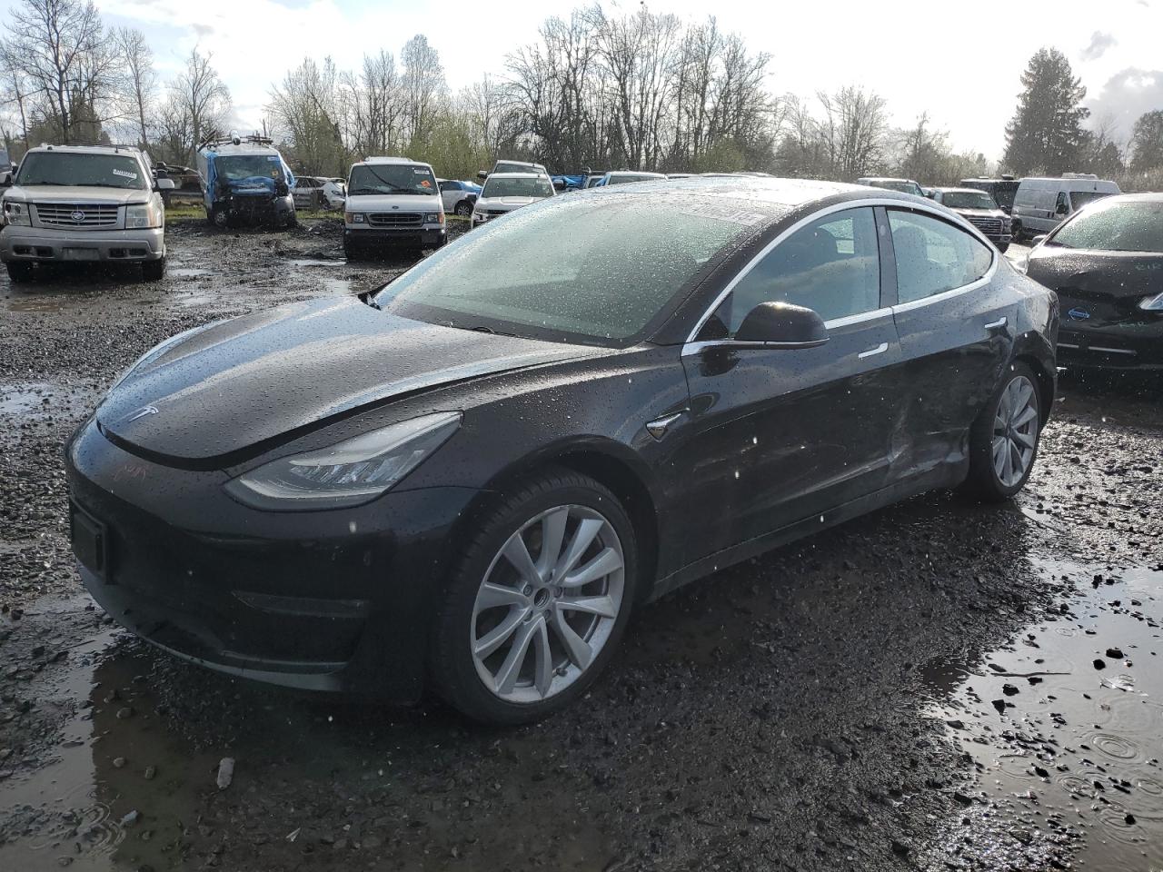 2019 Tesla Model 3 en Venta en Portland, OR - Side