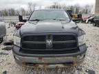 2010 Dodge Ram 1500  за продажба в Wayland, MI - Rear End