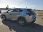 2019 Lexus Nx 300 Base en Venta en Miami, FL - Front End