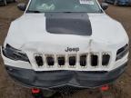 2019 Jeep Cherokee Trailhawk for Sale in Elgin, IL - Front End