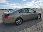Earlington, KY에서 판매 중인 2006 Nissan Maxima Se - Front End
