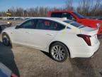 2024 Cadillac Ct5 Luxury for Sale in Leroy, NY - Side