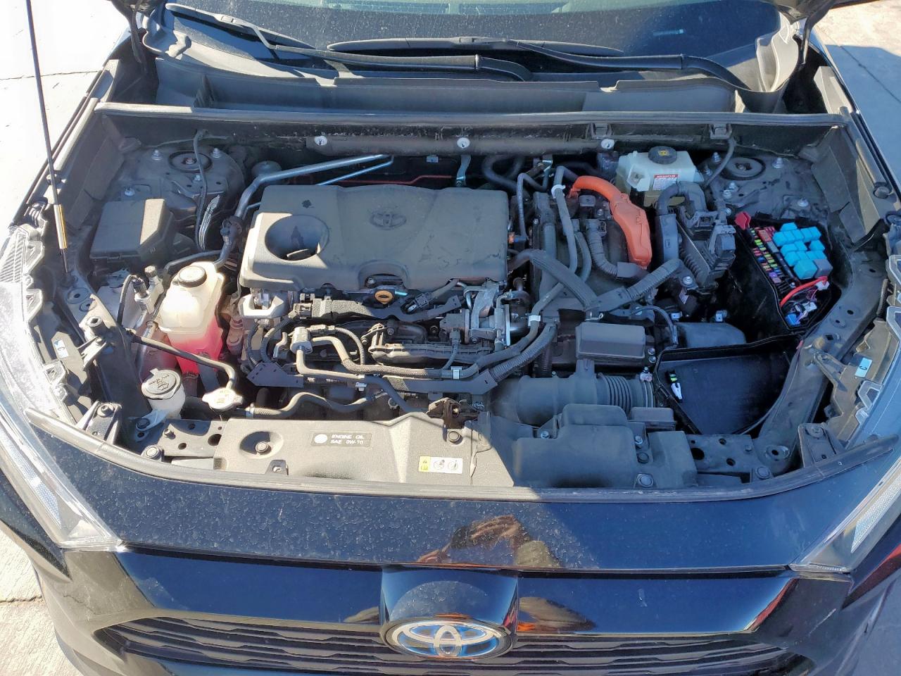 2020 Toyota Rav4 Xle VIN: 2T3RWRFV8LW082203 Lot: 47774735