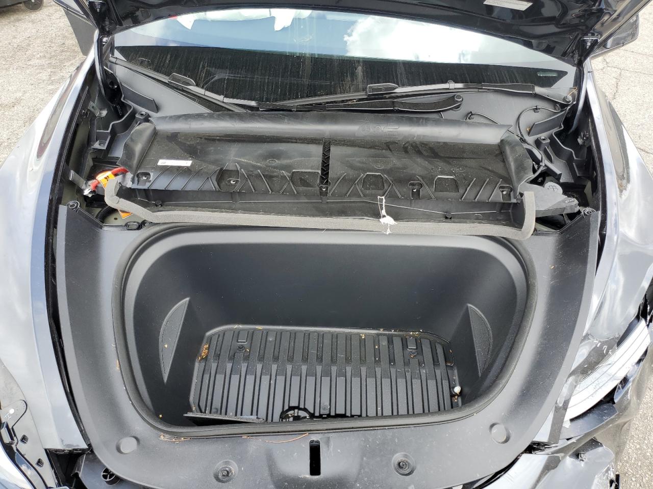 2025 Tesla Model Y VIN: 7SAYGDED6SF314843 Lot: 50717565