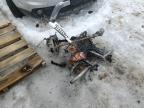 2006 Arctic Cat Cat for Sale in Central Square, NY - Burn