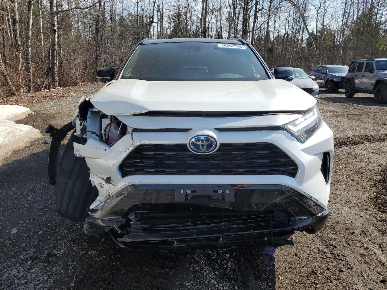 2T35WRFV1RW212636 TOYOTA RAV4 2024