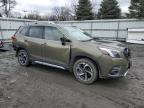 2023 Subaru Forester Touring   for Sale in Albany, NY - Rear End