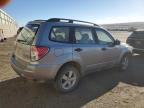 2010 Subaru Forester Xs na sprzedaż w Albuquerque, NM - Front End
