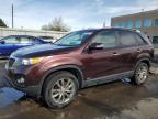 2011 Kia Sorento Ex იყიდება Littleton-ში, CO - Rear End