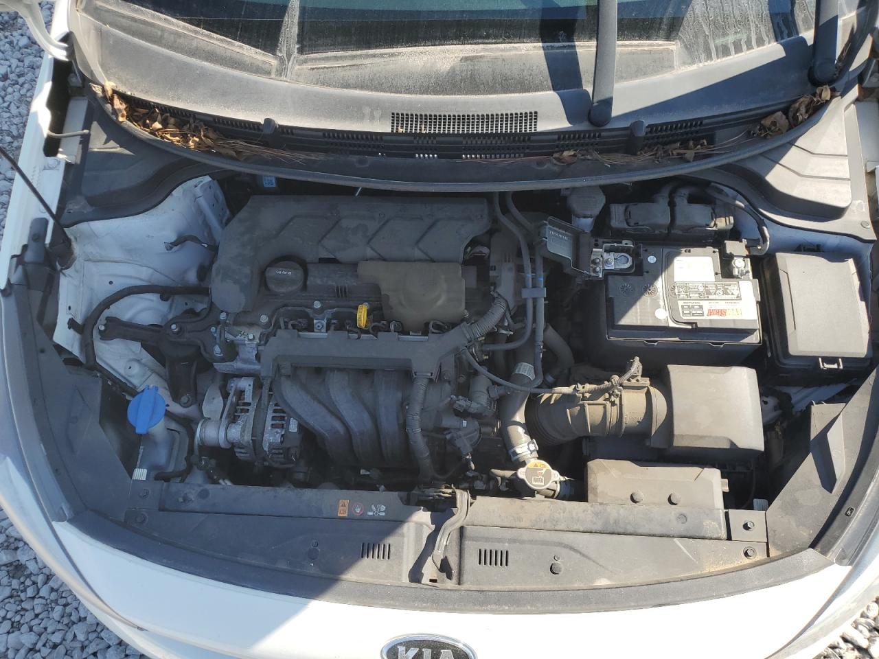 2020 Kia Rio Lx VIN: 3KPA24AD8LE299398 Lot: 48316315