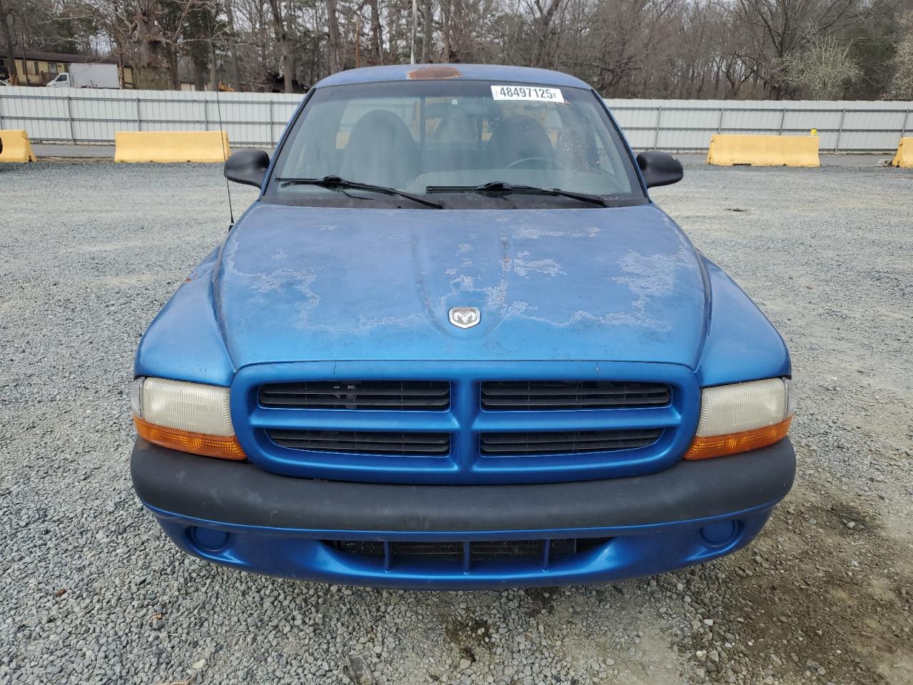 1998 Dodge Dakota - Image 5