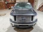 2010 Ford F150 Supercrew for Sale in Ebensburg, PA - Side
