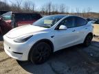 2024 Tesla Model Y  for Sale in Marlboro, NY - All Over