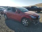 2023 Tesla Model Y  for Sale in Reno, NV - Side