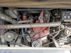 2009 El Dorado Axess for Sale in Brighton, CO - Rear End