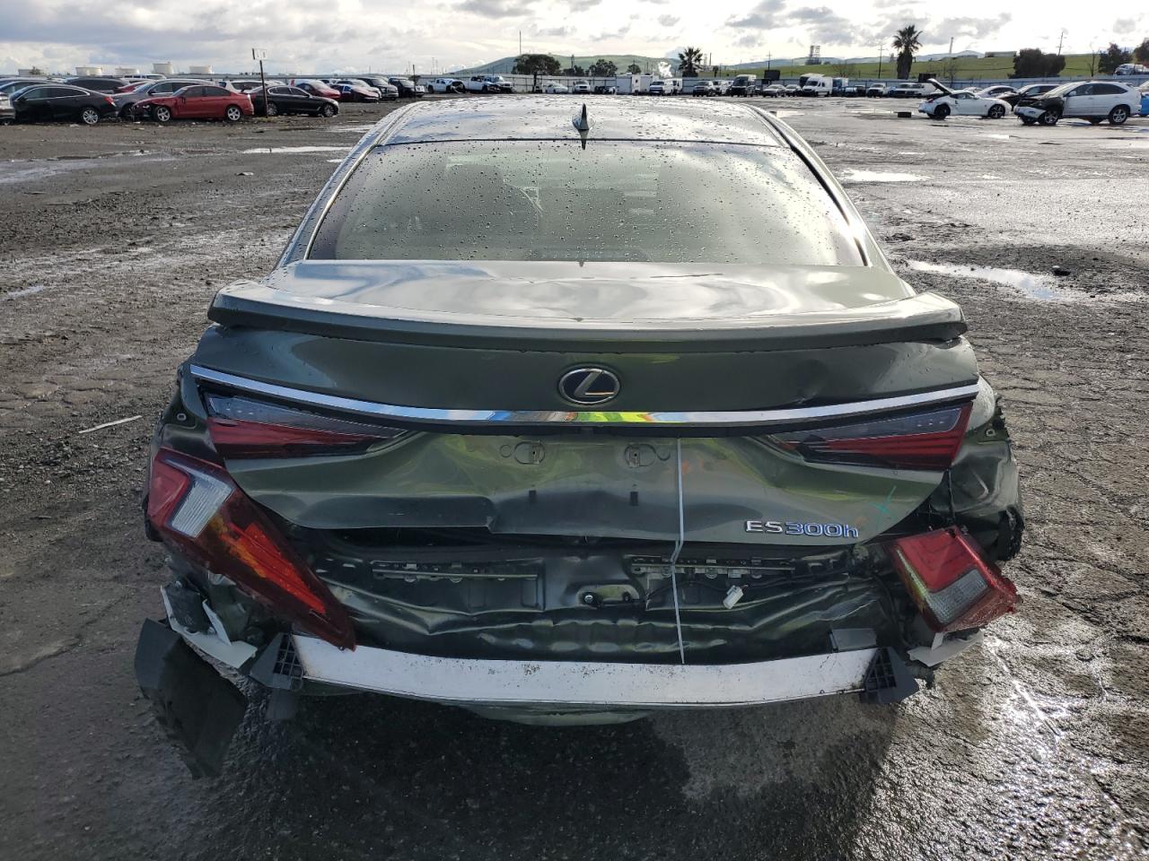 2019 Lexus ES - Image 6
