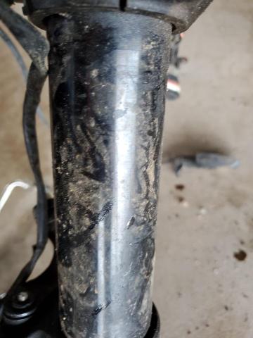  DUCATI ALL OTHER 2020 Синий