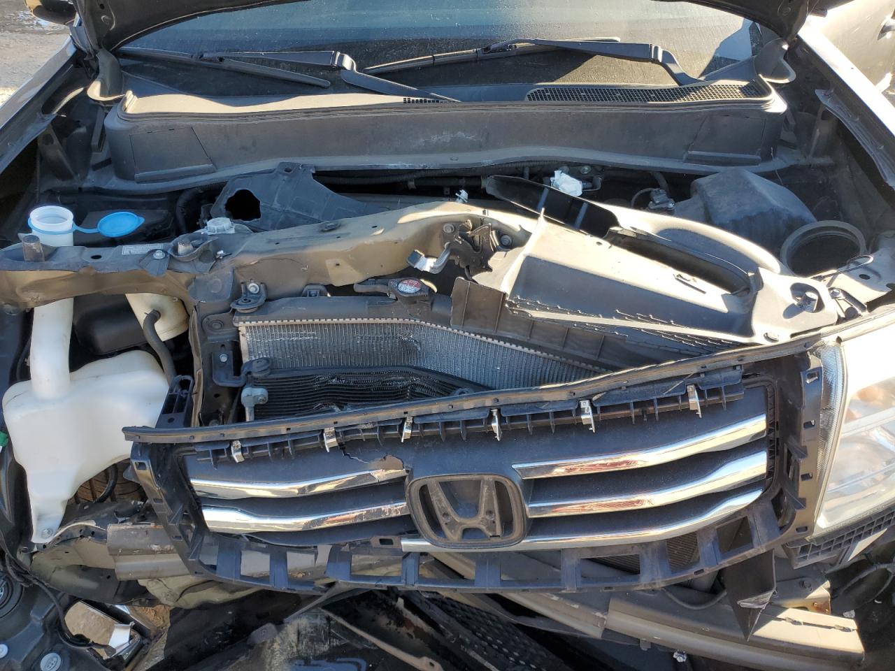 2014 Honda Pilot - Image 12