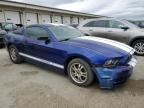 2013 Ford Mustang  for Sale in Louisville, KY - Front End