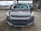 2013 Ford Escape Se for Sale in Fort Wayne, IN - Burn