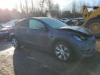 2023 TESLA MODEL Y    for sale at Copart ON - COOKSTOWN