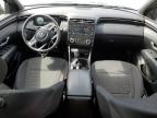 2023 Hyundai Santa Cruz Sel zu verkaufen in Earlington, KY - Hail
