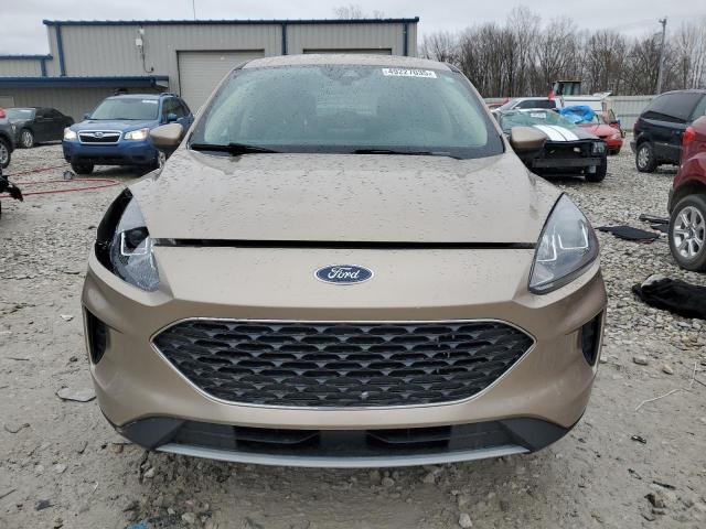  FORD ESCAPE 2020 Колір засмаги