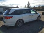 2021 Honda Odyssey Exl for Sale in Graham, WA - Minor Dent/Scratches