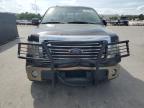 2014 FORD F150 SUPERCREW à vendre chez Copart FL - ORLANDO SOUTH