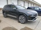 2023 Hyundai Santa Fe Calligraphy na sprzedaż w Louisville, KY - Burn - Interior
