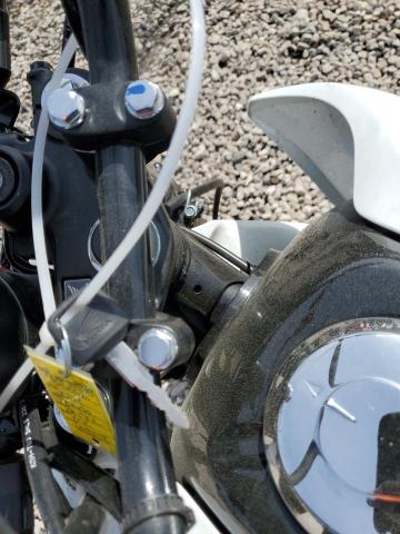  HONDA XR150L E 2024 Білий